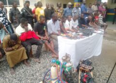 FCT Police parade suspected criminals, recovers bags of India hemp, Firearms      …  CP debunks alleged dissapearance of male organs