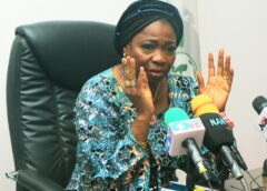 Dabiri-Erewa urges calm over viral deportation video, denounces stigmatization of Nigerians in Ghana