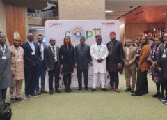 Nigeria unveils major Tobacco control breakthroughs at WHO COP11, cites landmark $110m fine on BATN