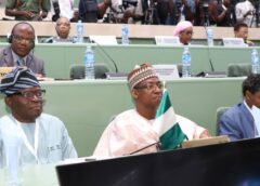 Nigeria reaffirms regional security commitment at ECOWAS Mediation and Security Council Meeting in Abuja