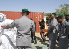 Nigeria Customs seizes 20 diverted containers worth ₦769.5bn, CGC vows crackdown on economic saboteurs