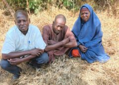 Troops neutralise five terrorists, rescue hostages in Borno