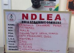 NDLEA Arrests Drug Kingpin After 13 Years on the Run, Busts Meth Lab, Seizes Massive Drug Hauls Nationwide