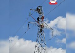 TCN Sustains Power Supply with Live-Line Maintenance on Zaria–Funtua 132kV Transmission Line